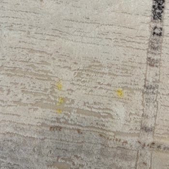 Arena Halı Yıkama (İstanbul) Halılarım 10 Gün Sonra Rengi Solmuş Ve Yolunmuş Halde Teslim Edildi