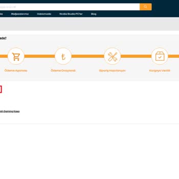 Teslim Edilmeyen Ürün İçin Satıcıdan Destek Alamıyorum, Mağduriyetim Sürüyor