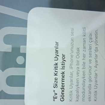 İphone 11'in Kilit Ekranında Donma Ve Kritik Uyarı Sorunu