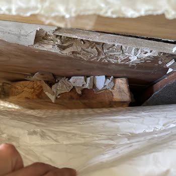 Hasarlı Ürün, Gecikmeli Teslimat Ve İlgisiz Satıcı: Shopier’de Mağduriyet