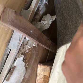 Hasarlı Ürün, Gecikmeli Teslimat Ve İlgisiz Satıcı: Shopier’de Mağduriyet