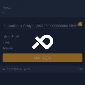 Bitexen Ve Open Survey'de Eksik Bakiye Ve Para Çekme Sorunları