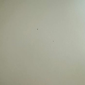 Teslimat Öncesi Başlatılan Garanti Ve Kusurlu Mobilyalar Nedeniyle Mağduriyet