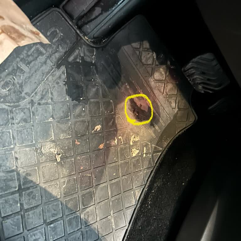 Garanti Kapsamındaki Paspas Sorunuma Çözüm Bulunmadı