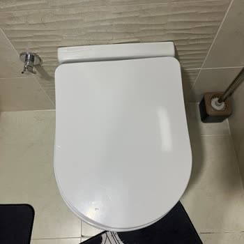 Creavit Klozet Kapağı Menteşesi Kırıldı Yedek Parça Bulunamıyor