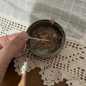 Superfresh Ton Balığında Kılçık Çıkması Ve Müşteri Hizmetlerine Ulaşılamaması