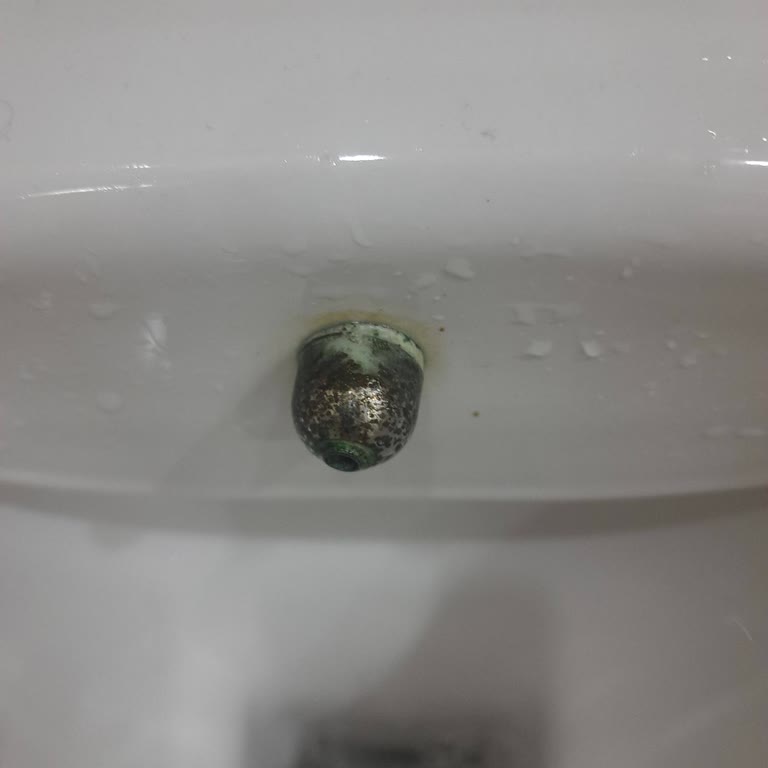 Vitra Ora Smoothflush Klozette Nikelaj Soyulması Ve Yedek Parça Bulunamıyor