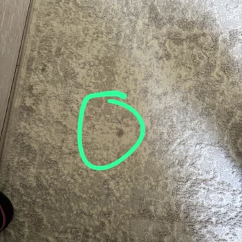 İpek Halı Yıkama'dan Lekeli Halı Teslimatı Ve İletişimsizlik Mağduriyeti