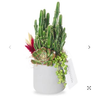 Siparişim Görseldeki Ürünle Uyuşmuyor Ve Müşteri Hizmetlerine Ulaşamıyorum