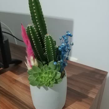 Siparişim Görseldeki Ürünle Uyuşmuyor Ve Müşteri Hizmetlerine Ulaşamıyorum