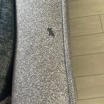 Enza Home Koltuk Takımında Hızlı Renk Solması Ve Çözüm Eksikliği