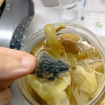 Turşu Ürününde Yabancı Cisim ve Koku Şikayeti