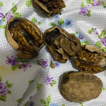 Bozuk Ve Böcekli Cevizli Sucuk İçin İade Reddedildi Mağduriyetim Giderilmiyor