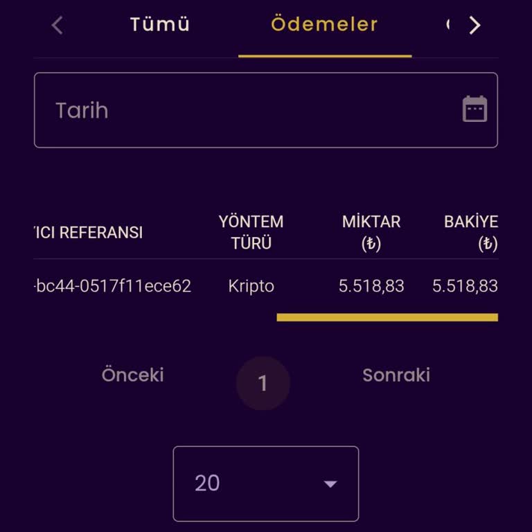 Kayıp İadesi Kampanyası Vaat Edildiği Halde Hesabıma Yatırılmadı, Mağduriyet Yaşıyorum