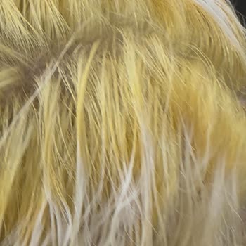 San Kuaför Hayal Kırıklığı Ve Saç Kabusu