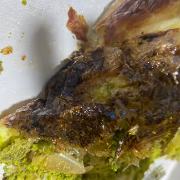 Yanık Katmer Ve İletişimsiz Şube Nedeniyle Mağduriyet Yaşadım