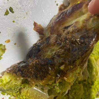 Yanık Katmer Ve İletişimsiz Şube Nedeniyle Mağduriyet Yaşadım