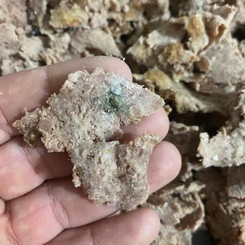 Aldığım Döner Bozuk Çıktı Mağduriyetimin Giderilmesini İstiyorum