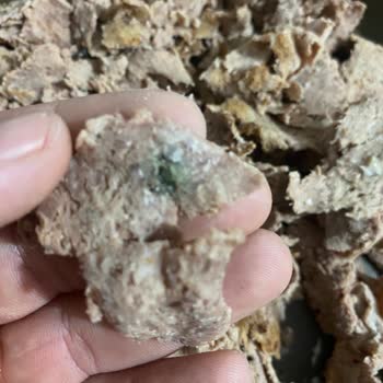 Aldığım Döner Bozuk Çıktı Mağduriyetimin Giderilmesini İstiyorum