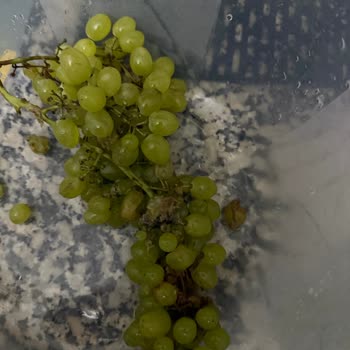 Teslim Edilen Üzümün Yarısı Çürük Geldi, İade Bekliyorum