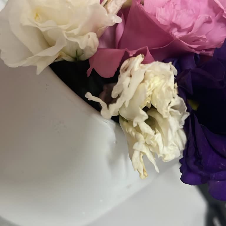 Solmuş Ve Farklı Çiçekler Teslim Edildi Müşteri Hizmetlerinden Dönüş Alamadım