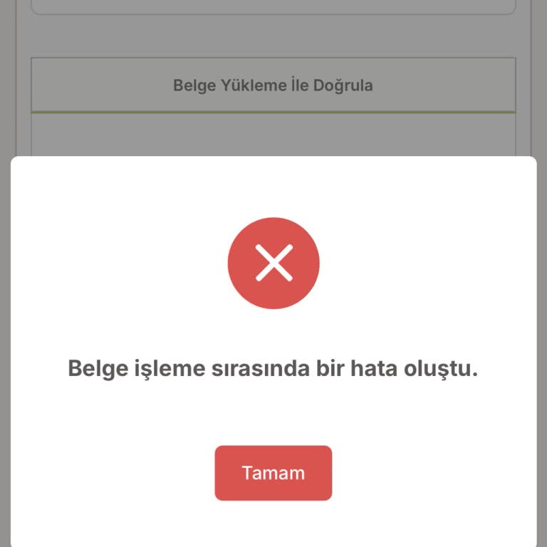 Obigenç Mobil Uygulamasında Burs Başvurusu Belge İşleme Hatası Ve Destek Eksikliği