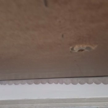 Doğtaş Koltuk Takımı Kırıldı, Mağduriyetimiz Giderilmedi