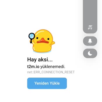 Nesine Casino Sitesine Erişim Sorunu Ve Para Yatırma Sonrası Mağduriyet