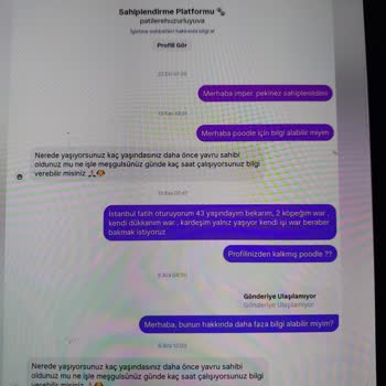 Sahiplendirme Platformunda Köpek Sahiplenme Sürecinde Mağduriyet