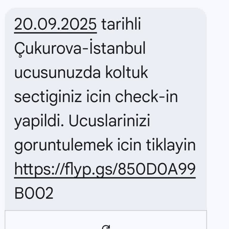 Otomatik Check-in Hatası Nedeniyle Uçuştan Mağdur Edildik