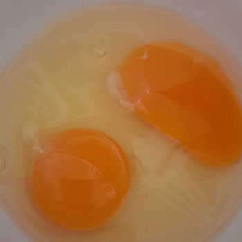 Yumurtadan Saç Çıkmasıyla Büyük Hayal Kırıklığı