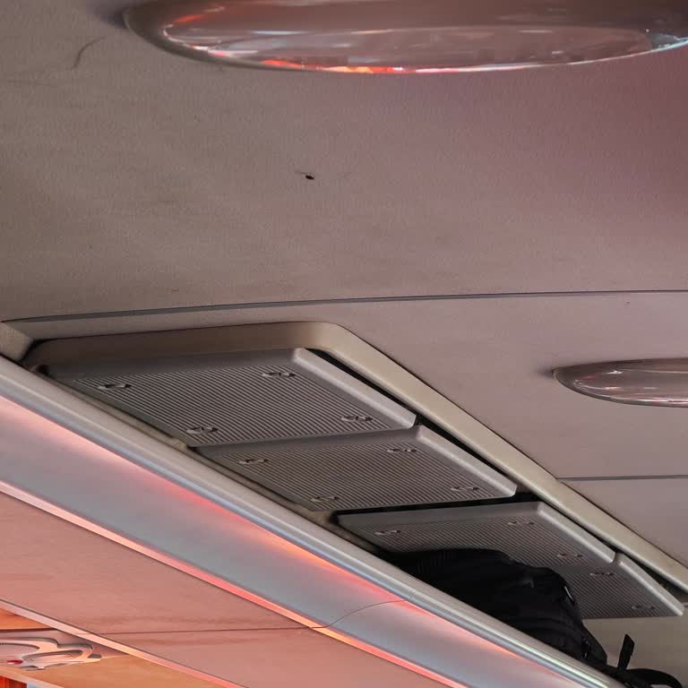 Kamil Koç Otobüsünde Hijyen Sorunu Ve Yoğun Sinek Problemi