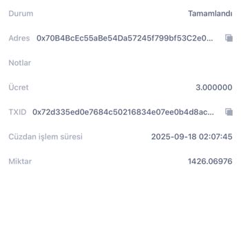 Paribuya Aktardığım USDT Transferi Kayboldu Müşteri Hizmetleri Çözüm Sunmuyor
