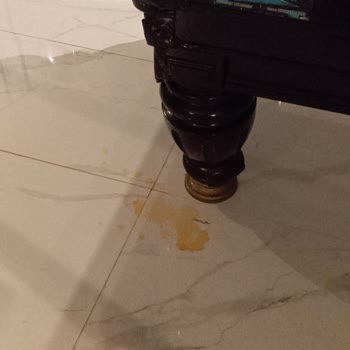 Kirli Villa, Eksik Hizmet: Temizlik Ücreti Boşa Gitti