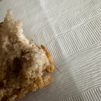 Aldığım Ekmekten Kıl Çıktı, Hijyen Ve Kalite Kontrolü Talep Ediyorum