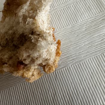 Aldığım Ekmekten Kıl Çıktı, Hijyen Ve Kalite Kontrolü Talep Ediyorum