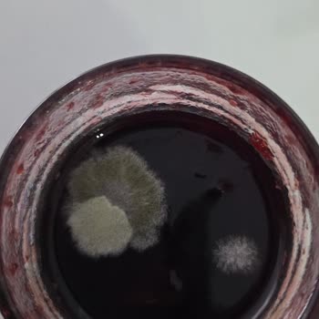 Satın Aldığım Reçelin Kısa Sürede Küflenmesi Ve Mağduriyet