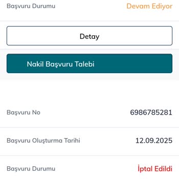 Nakil Sonrası İnternetim Günlerdir Açılmadı Mağdurum