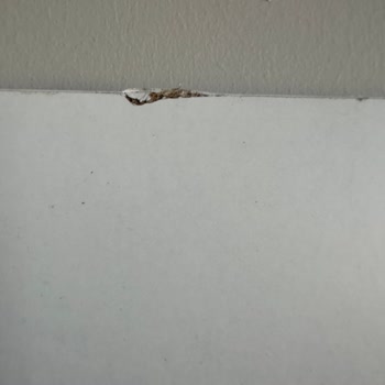 Montaj Hizmeti Sağlanmadı, İade Talebim Aylardır Sonuçsuz Kaldı