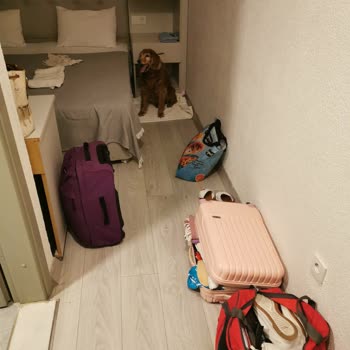 Rezervasyon Sonrası Otelde Mağdur Edildik Alternatif Otel Talebimiz Reddedildi