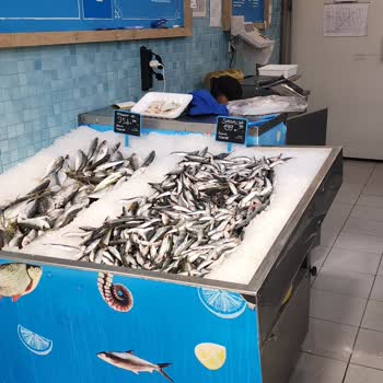 Siparişimdeki Ürünün Teslim Edilmemesi Ve Fiyat Artışı Hakkında Şikayet