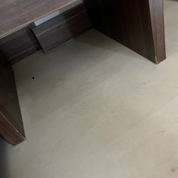 Noxin Club Hotel’de Temizlik Ve Hijyen Sorunları