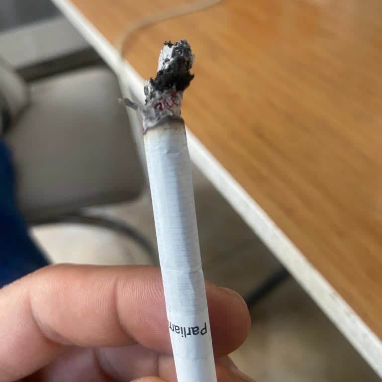 Parliament Night Blue Sigarada Kömür Benzeri Yabancı Maddeyle Karşılaştım