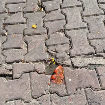 Pazar Sonrası Sokakların Yıkanmaması Ve Kötü Koku Sorunu