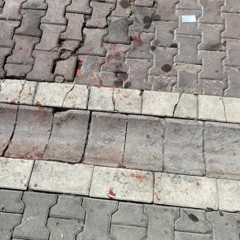 Pazar Sonrası Sokakların Yıkanmaması Ve Kötü Koku Sorunu