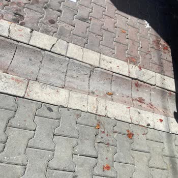 Pazar Sonrası Sokakların Yıkanmaması Ve Kötü Koku Sorunu