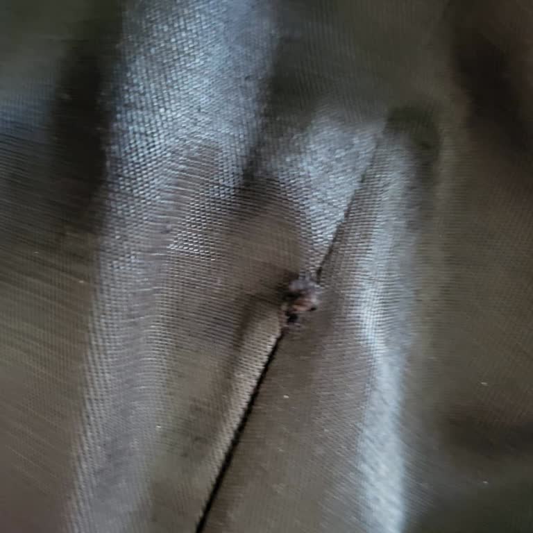 Defolu Ürün Ve Yetersiz İletişim Nedeniyle Mağduriyet Yaşıyorum