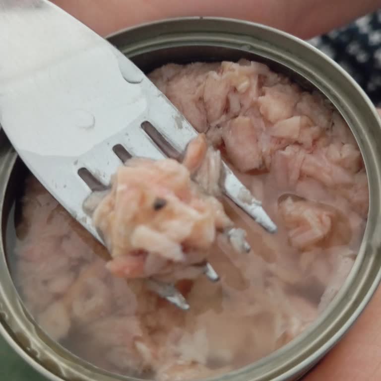 Superfresh Ton Balığında Yabancı Cisim Şoku: Hijyen Ve Sağlık Endişesi