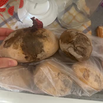 Migros Sanal Marketten Defalarca Çürük Patates Teslim Edilmesi Mağduriyet Yaşattı