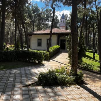 Millet Parkı'nda Yetersiz Yönlendirme Ve Eksik Hizmetler